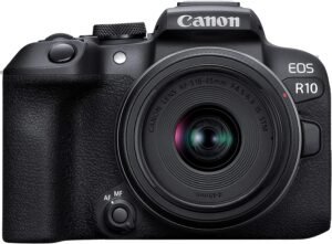 Best Mirrorless Cameras for Beginners