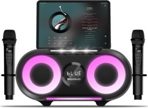 best karaoke machine portable